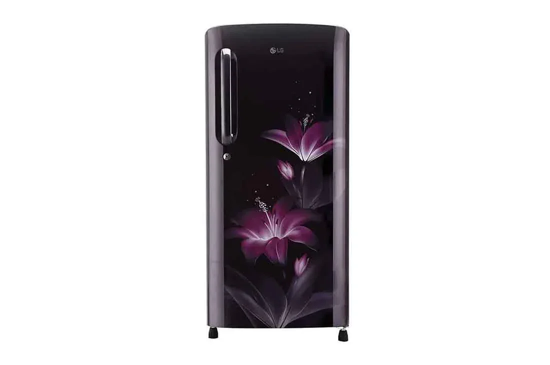 LG 190 L, Smart Inverter Compressor | GL-B205APGB