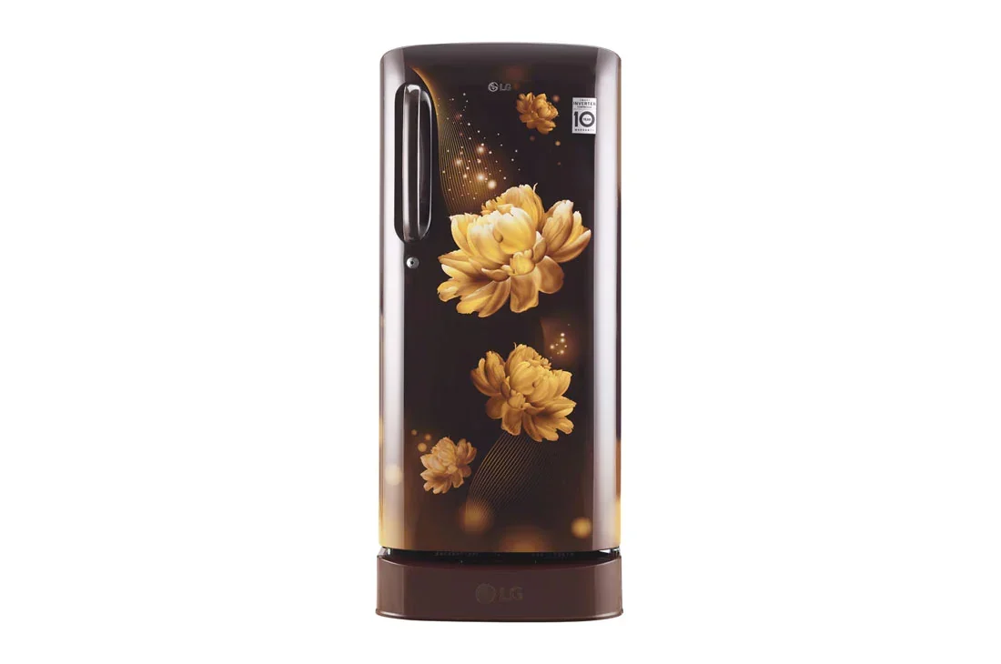 LG 190 L, Smart Inverter Compressor | GL-D205AHCB
