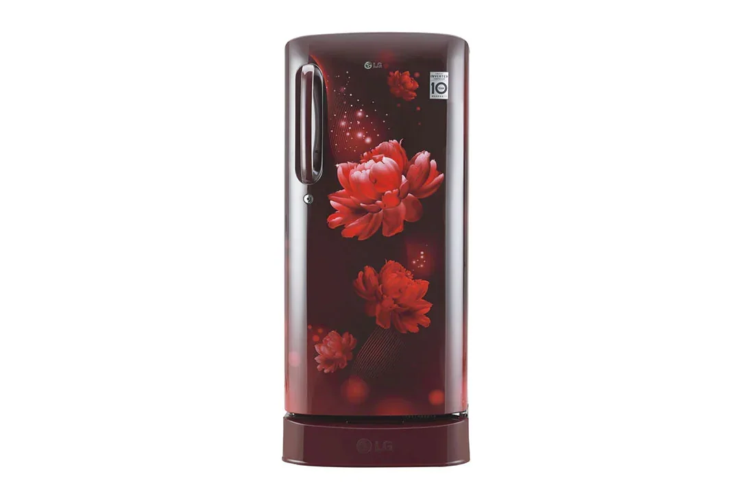 LG 190 L, Smart Inverter Compressor | GL-D205ASCB