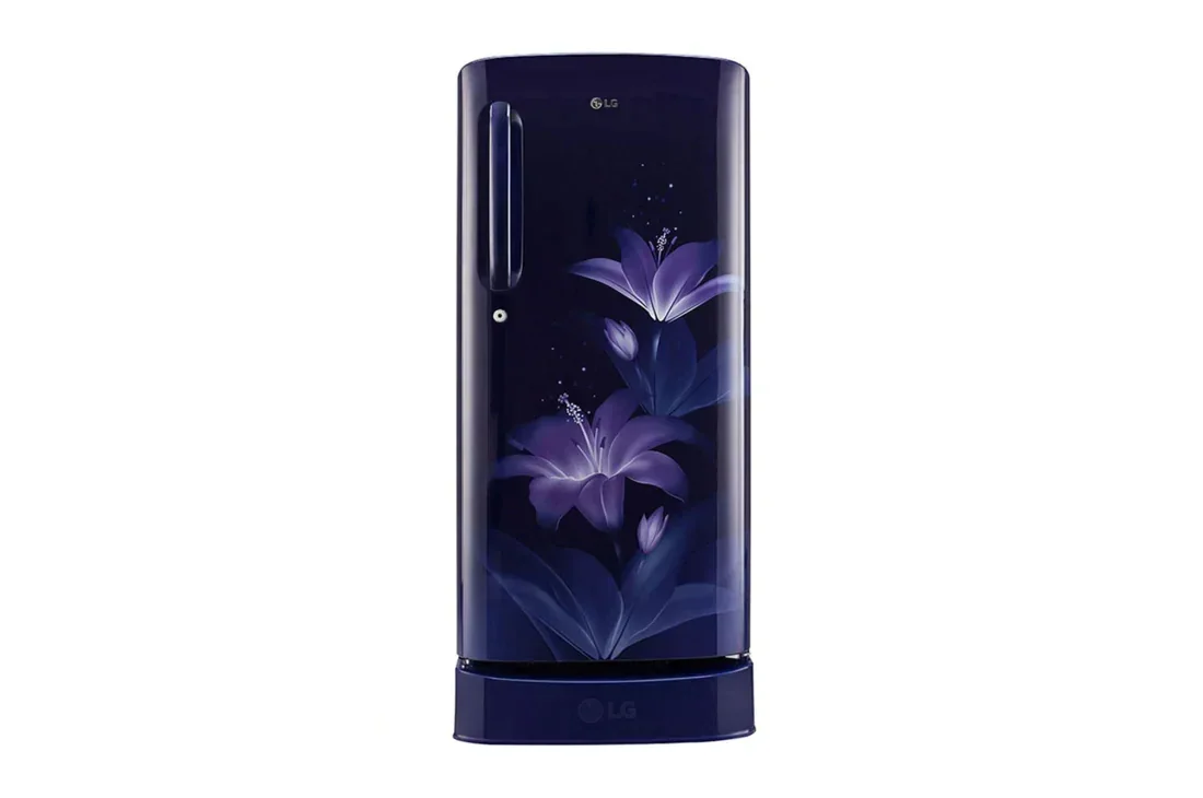 LG 190 L, Smart Inverter Compressor | GL-D205ABCB