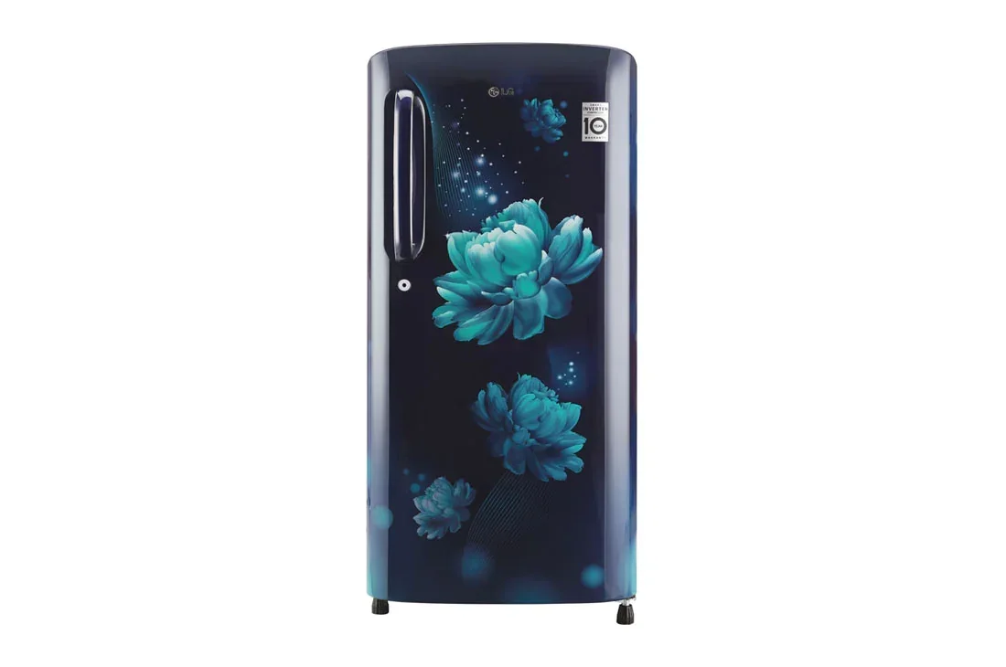 LG 190 L, Smart Inverter Compressor | GL-B205ABGB